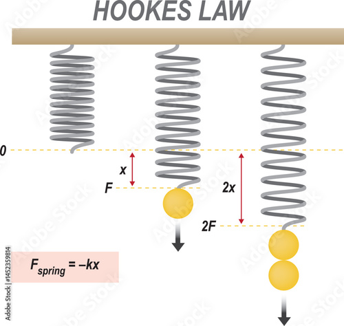 Hookes law, Physics, spring force, Weight equation and mathematical experiment with elastically deformed spring. Vector illustration. Labeled education infographic.
