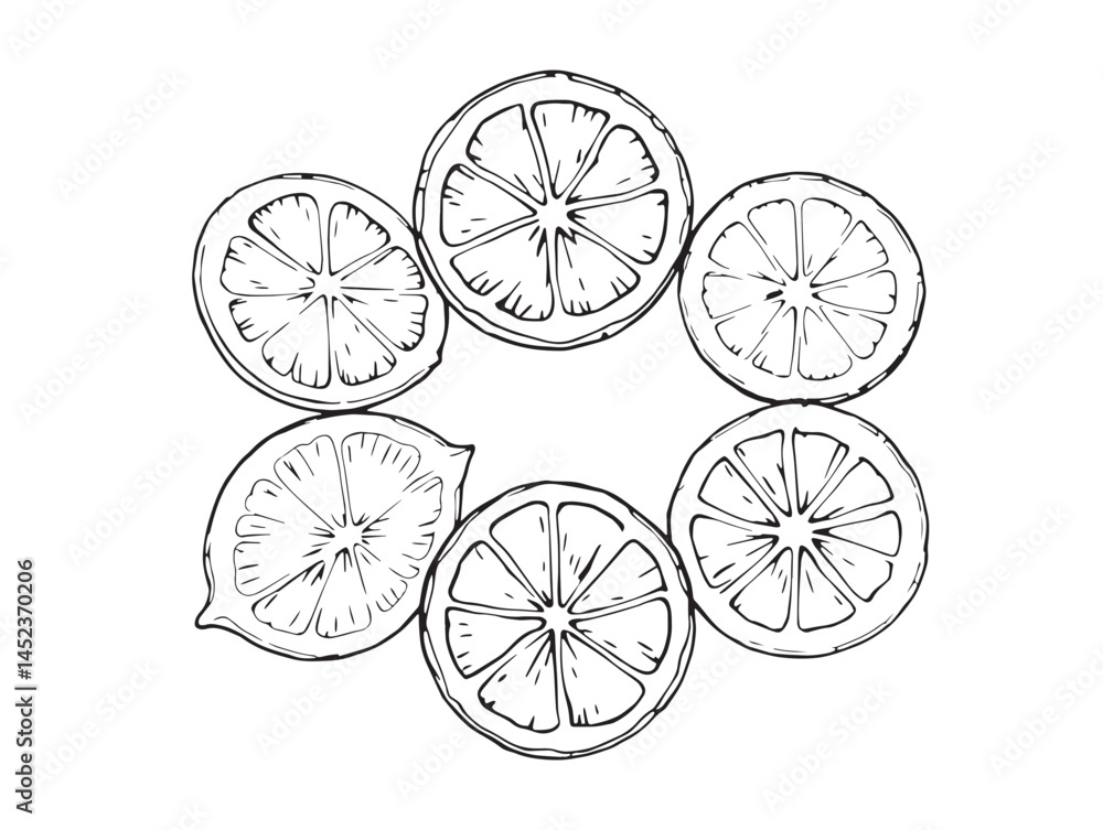 lime fruit slice illustration with minimal clean line art style lime fruit slice illustration with minimal clean line art style