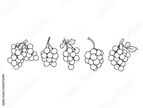 Minimalist Currant Line Art for Eco Friendly Branding