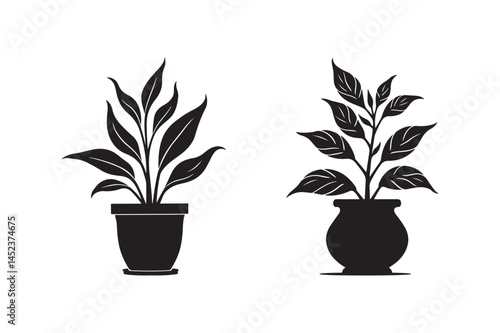 Potted Plant Silhouette Vector Minimal Indoor Houseplant Art Illustration