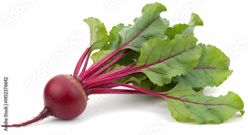 One beetroot. Beets are characterized by their deep reddish-purple color. Vector Illustration