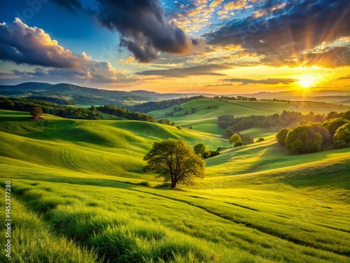 Serene Sunset Meadow: Lush Green Grass & Gentle Hills Landscape Photography