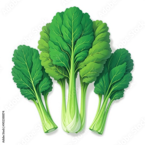 Fresh Collard Greens Nutritious, Tender and Vibrant Green