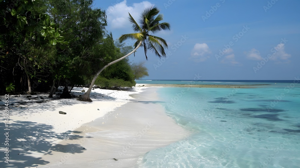 Fototapeta premium Tropical Paradise: White Sand Beach, Crystal Clear Ocean, Lush Greenery, Swaying Palm Trees, Tranquil Atmosphere, Serene Coastal Escape, Idyllic Island Getaway, Picturesque Shoreline, Azure Waters, Un