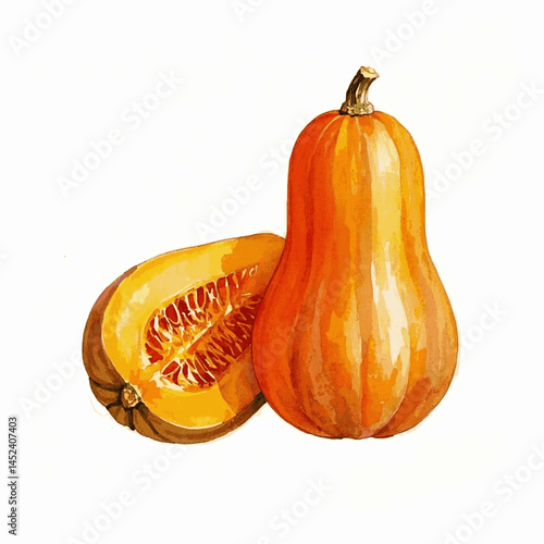 Harvest Hues butternut squash isolated watercolor vector illustration svg