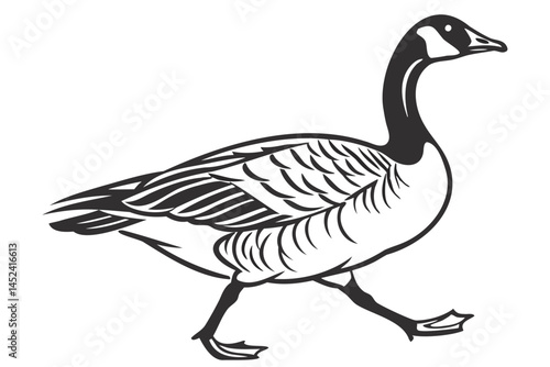 Black and white line art of a canada goose walking vector illustration for design and print projects isolated on transparent background