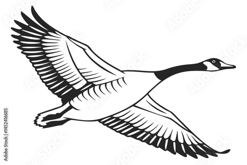 Flying canada goose vector illustration for wildlife enthusiasts and bird watchers looking for goose clip art isolated on transparent background