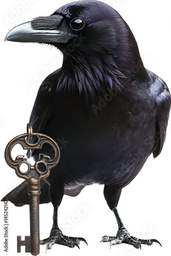 Crow on the ground with key