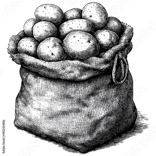 Black and white vintage engraving, burlap sack with potatoes, rustic hand-drawn vector, retro farm produce, old woodcut style, sketch illustration, countryside agriculture, trendy