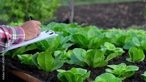 Farmers check data and research organic vegetable plots to get good and large yields. Using technology to help in farming, detecting pests.