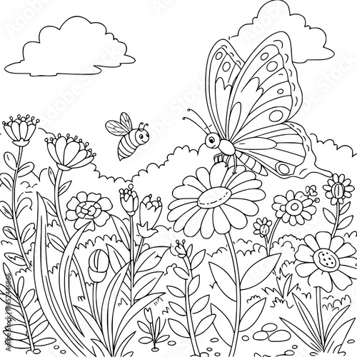 vector illustration of a butterfly and bee. coloring page for kids activity. Black and white.