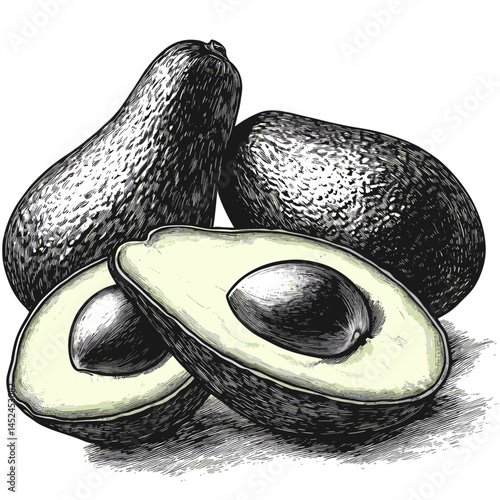 Sliced avocados composition, old engraving style, vintage woodcut vector, black sketch fruit design, hand drawn tropical fruit, healthy food art, avocado cut illustration, food engraving