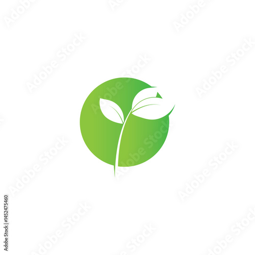 leaf's logo icon vector illustration template design