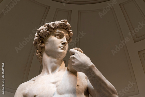 Obraz na plátně Donatello' statue in the city of Florence