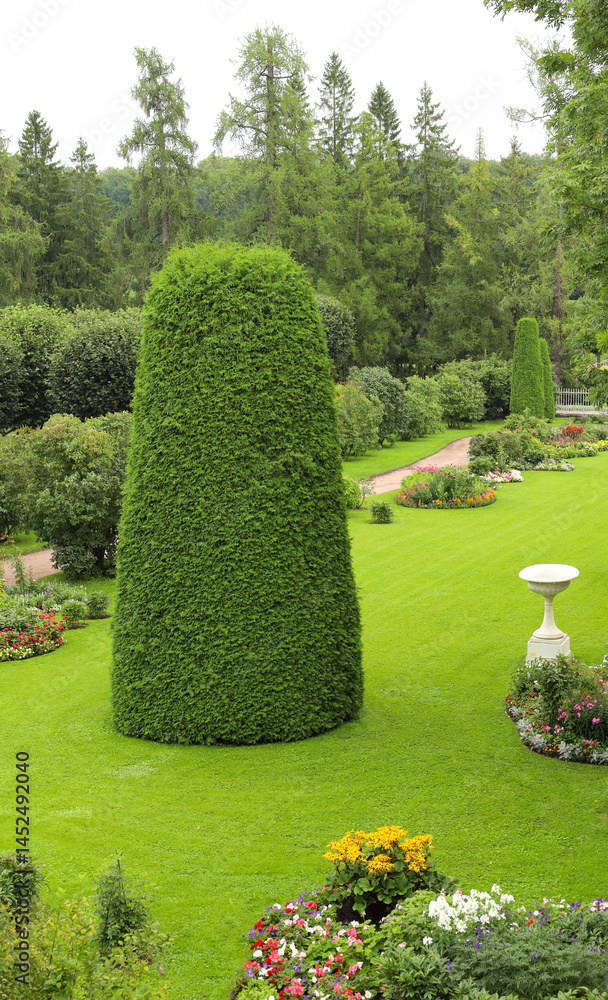 custom made wallpaper toronto digitalAn originally trimmed thuja is the main accent in the park composition
