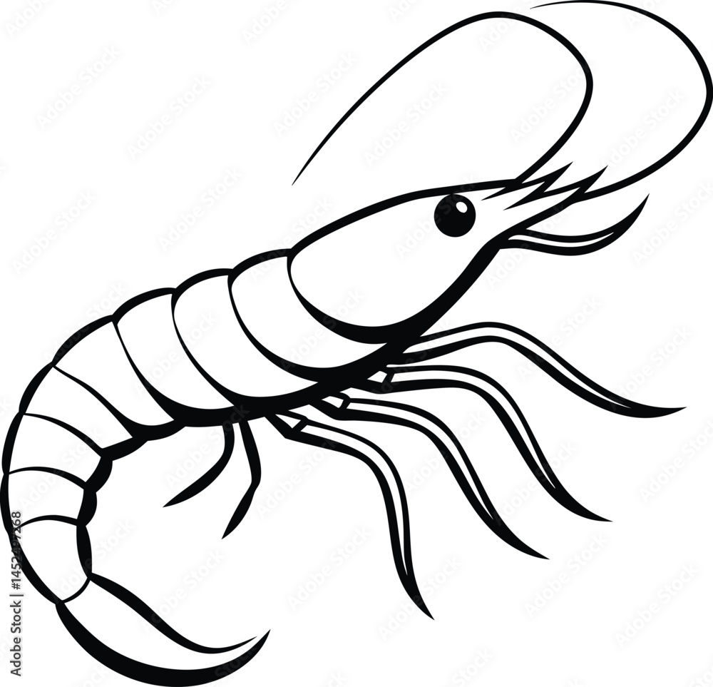 vector illustration of shrimp vector illustration of shrimp