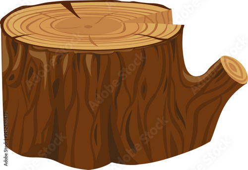 Tree stump featuring distinct growth rings and a small branch emerging from the side, set against a clean white background, highlighting natural textures and organic details