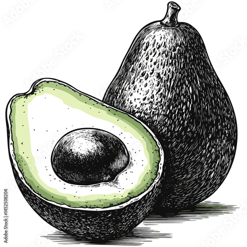 Half of avocado, vintage hand drawn vector illustration, woodcut engraving style, black sketch, retro botanical, organic fruit art, avocado slice, rustic kitchen decor,