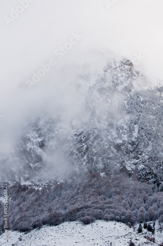 Frozen valley with patchy forest