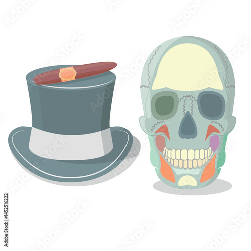 Skull, top hat and cigar without background, vector