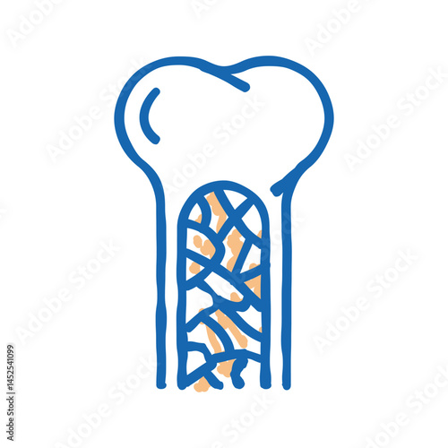 bone marrow icon doodle illustration