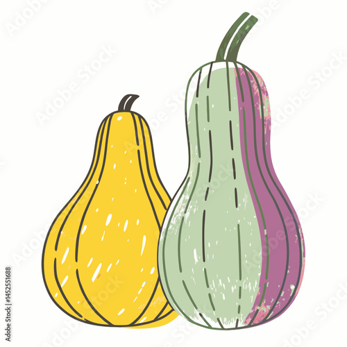 Colorful squash pairing with unique shapes representing harvest season and culinary delights against a minimalistic white backdrop.