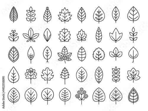 Leaf Icon Captures Essence of Wilderness.eps