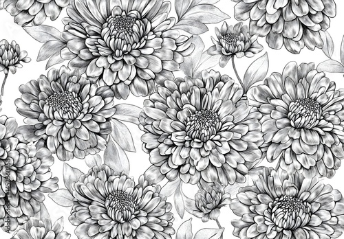 Wallpaper Mural Monochrome Floral Pattern Detailed Pencil Sketch of Zinnias Torontodigital.ca