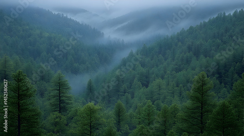 Misty Mountain Forest Landscape
