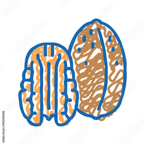 pecan nut icon doodle illustration