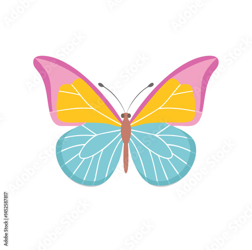 butterfly on white background