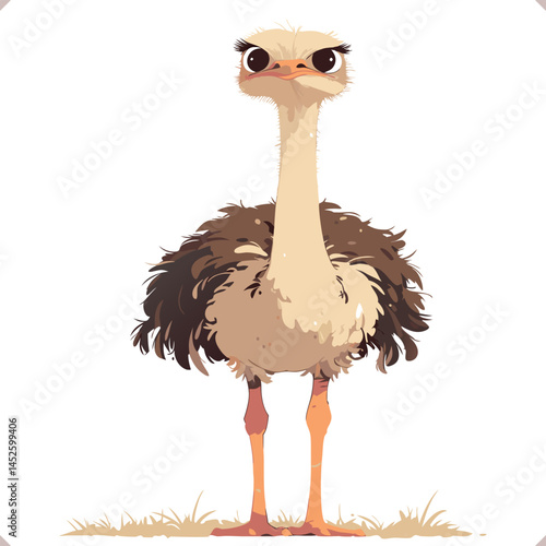 Flat vector illustration of cute ostriche on the white background. Vector EPS 10