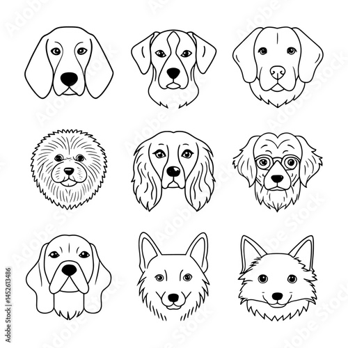 A cute set of white and golden labrador retriever puppies and dogs, happy canine pets