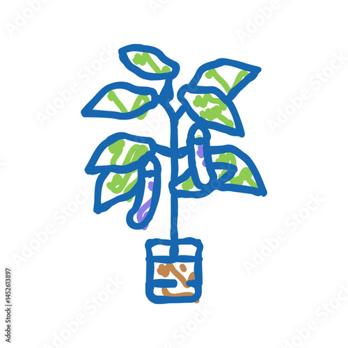 eggplant in pots icon doodle illustration