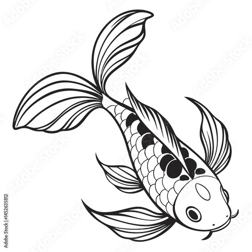 Black and White Top View of a Koi Fish