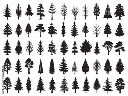 Redwood Icon Majestic Trees of Nature.eps