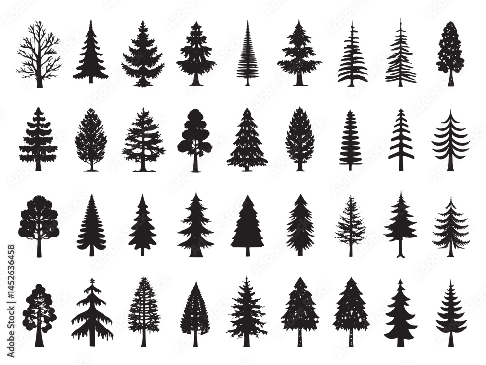 Naklejka premium Redwood Icon Beauty of the Wilderness.eps