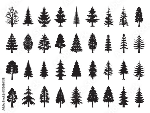 Redwood Icon Beauty of the Wilderness.eps