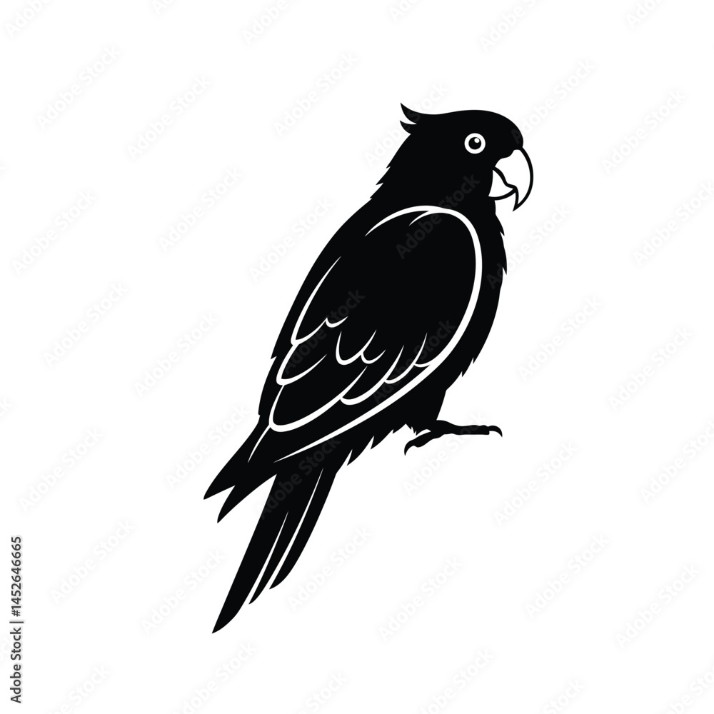 Fototapeta premium parrot silhouette vector, parrot bird icon clip art 