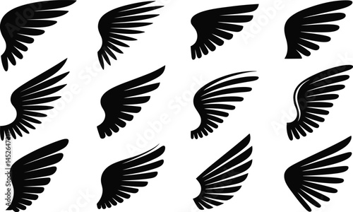 Assorted Black Wing Silhouettes - Vector Set