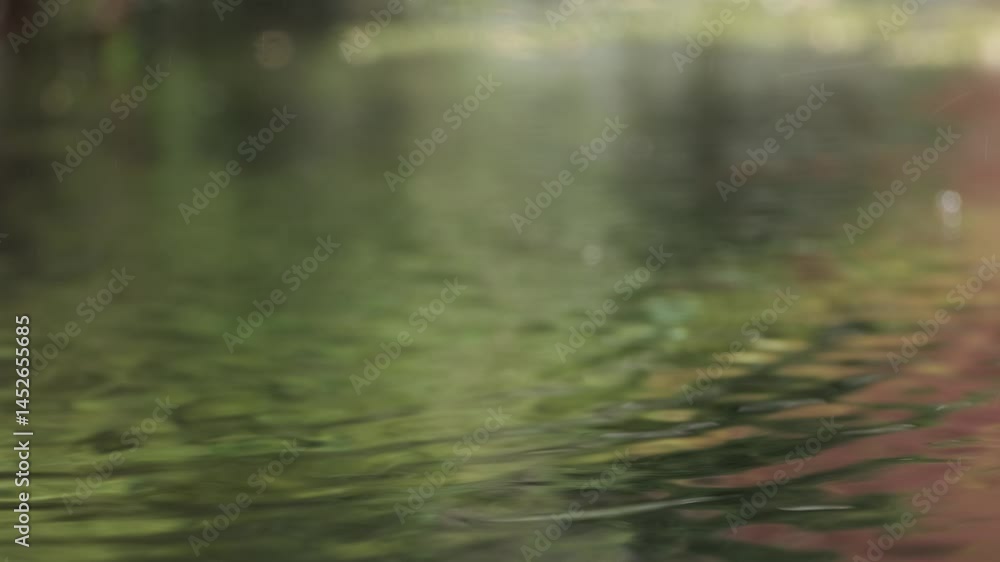 Gentle raindrops creating expanding circular ripples across calm water surface, reflecting surrounding green vegetation with mesmerizing patterns of light and shadow Gentle raindrops creating expanding circular ripples across calm water surface, reflecting surrounding green vegetation with mesmerizing patterns of light and shadow