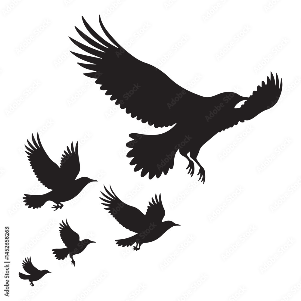 Vector set of flying birds. Usually stylized or realistic silhouettes of birds flying in the air. vector illustration eps 10 Vector set of flying birds. Usually stylized or realistic silhouettes of birds flying in the air. vector illustration eps 10
