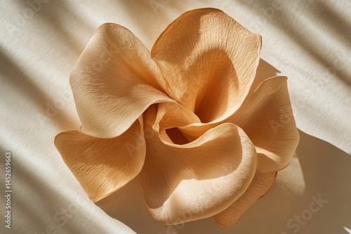 A minimalistic arrangement of twisted dried peony roots in soft, warm tones on a textured background