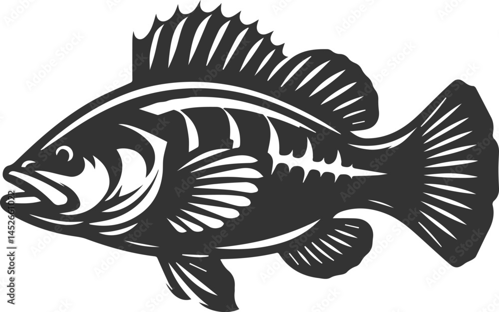 Fototapeta premium Sea bass fish vector silhouette