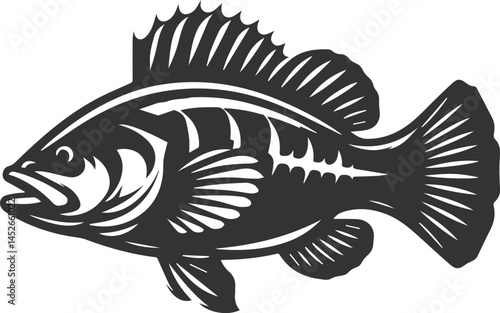 Sea bass fish vector silhouette