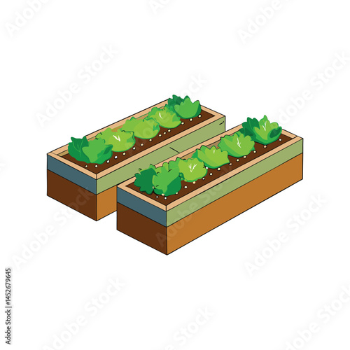Raised garden beds vector illustration, elevated planting boxes for backyard gardening, agriculture and eco farming