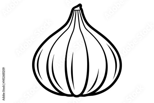 onion on white background