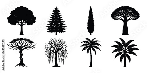 Exotic Tree Silhouettes Vector Set, Tropical and Decorative Nature Icons on White