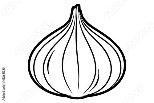 onion on white background