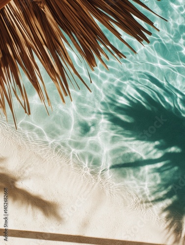 Serene Coastal Minimalism Tropical Palm Frond Shadow Play on Water Surface - Tranquil Wellness and Eco-Conscious Design Aesthetic for Modern Lifestyle Content